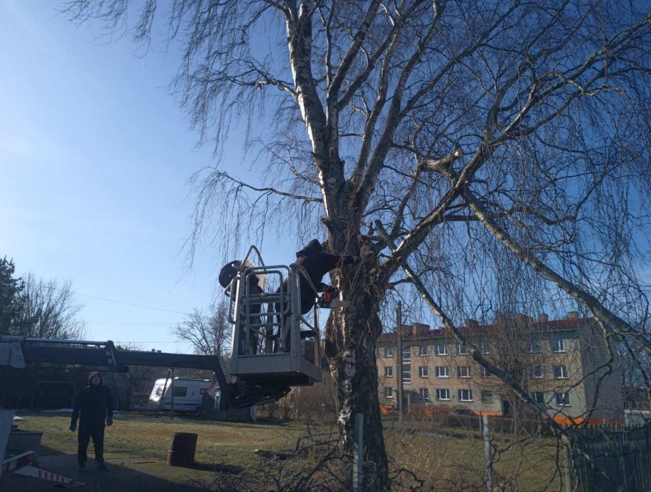 UUSTEE taastumiskeskuse territooriumi korrastustööd